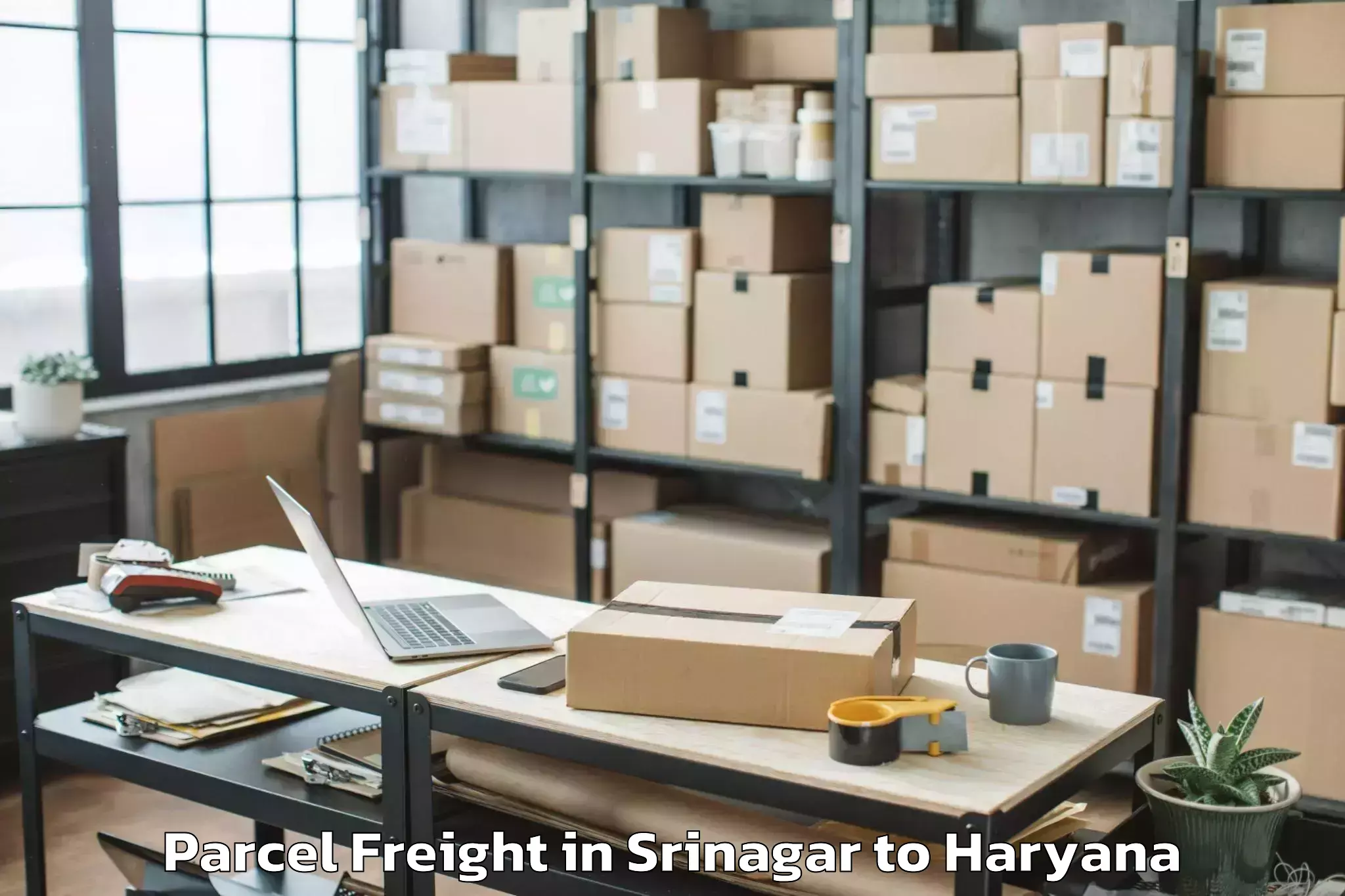 Book Your Srinagar to Jevra Parcel Freight Today